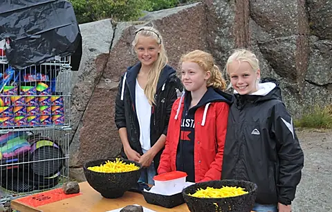 Copyright © AB Bovallstrands Badinrättning, www.badholmarna.com