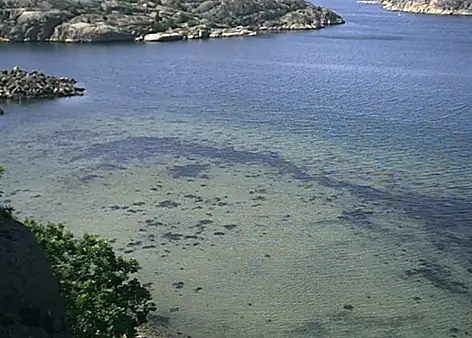 Blandat 2001 — foto 2