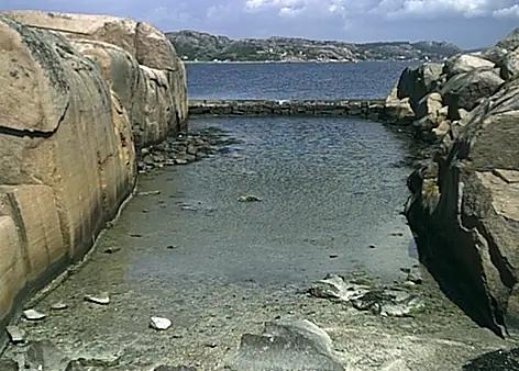 Blandat 2001 — foto 10