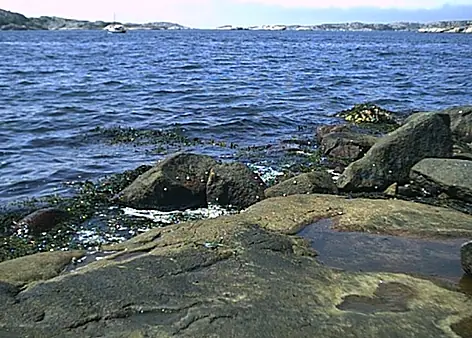 Blandat 2001 — foto 12