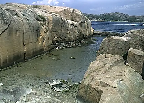 Blandat 2001 — foto 13
