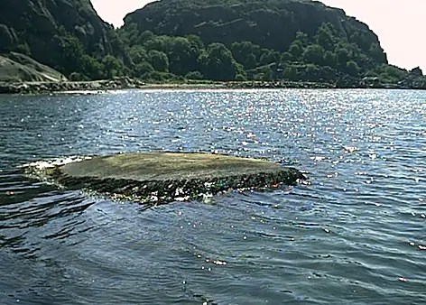 Blandat 2001 — foto 17