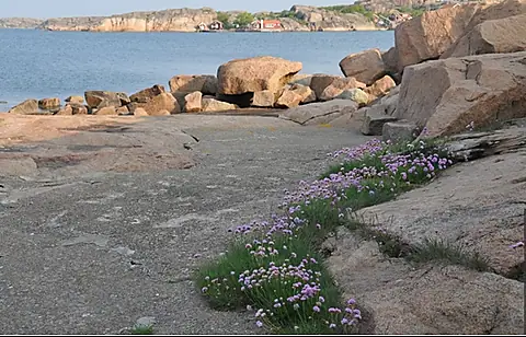 Copyright © AB Bovallstrands Badinrättning, www.badholmarna.com