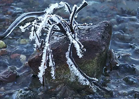 Vinter 2003 — foto 3