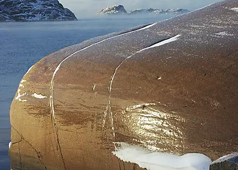 Vinter 2003 — foto 17