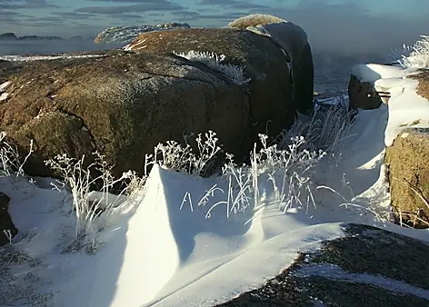 Vinter 2003 — foto 19