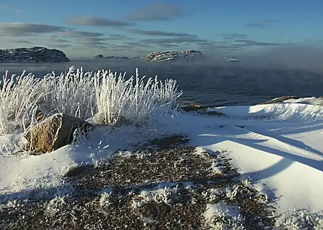 Vinter 2003 — foto 21
