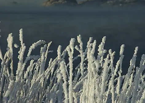 Vinter 2003 — foto 22
