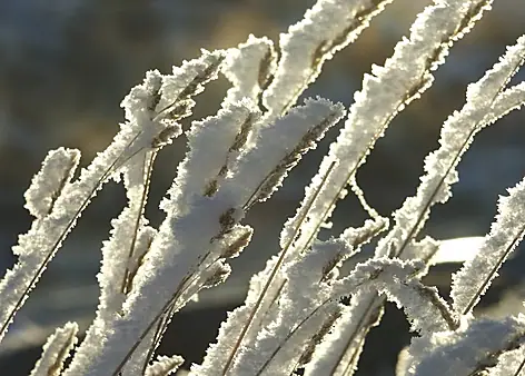 Vinter 2003 — foto 23