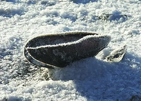 Vinter 2003 — foto 52
